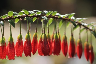 温州龙湾区零用贷短借：轻松解决临时资金需求