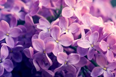 温州龙湾区企业急用钱贷款攻略：快速融资解燃眉之急